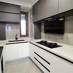 समकालीन मेलामाइन रसोई अलमारियाँ